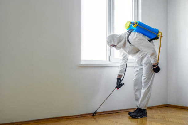 Best Flea Control Services  in Cottonwood, AZ