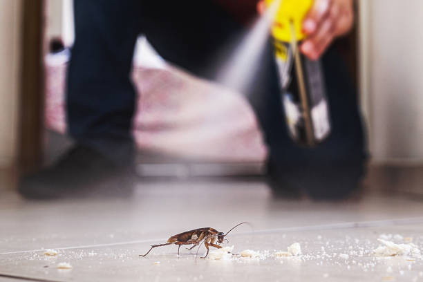 Best Residential Pest Control  in Cottonwood, AZ